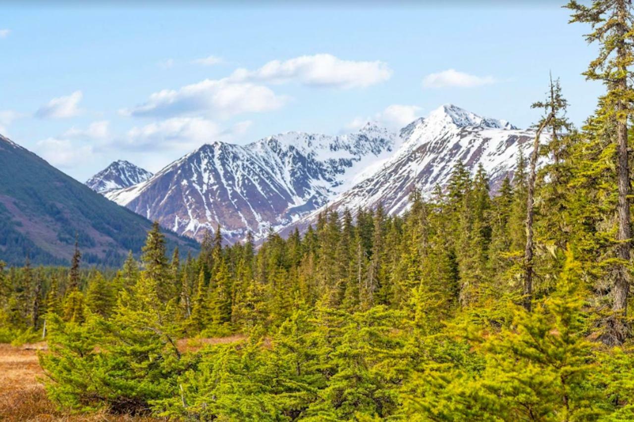 Timberline 208 Daire Girdwood Dış mekan fotoğraf